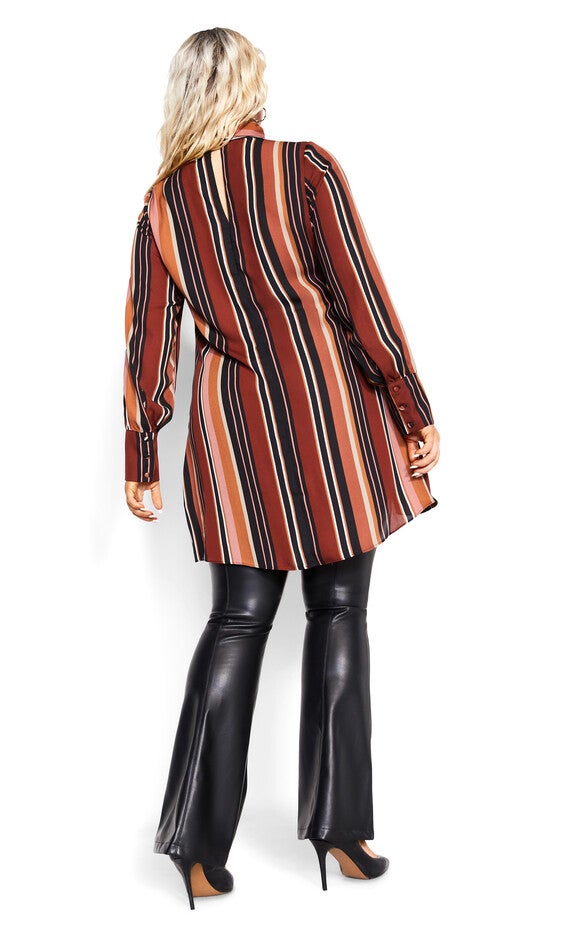 Bold Stripe Tunic - tan, TAN, alternate image number null