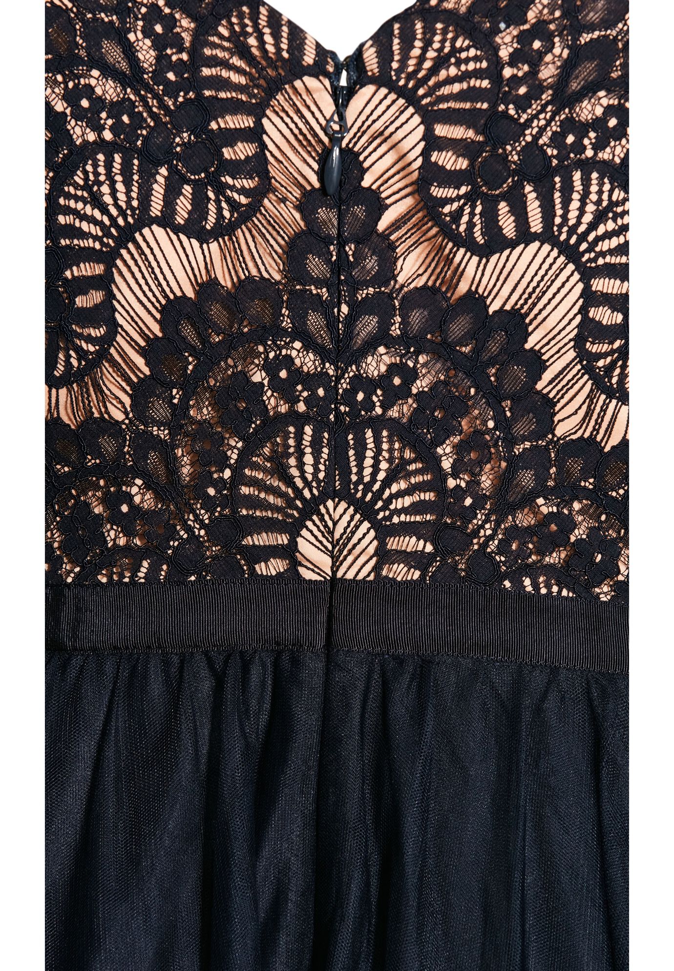 City chic rare beauty lace fit & flare dress shop