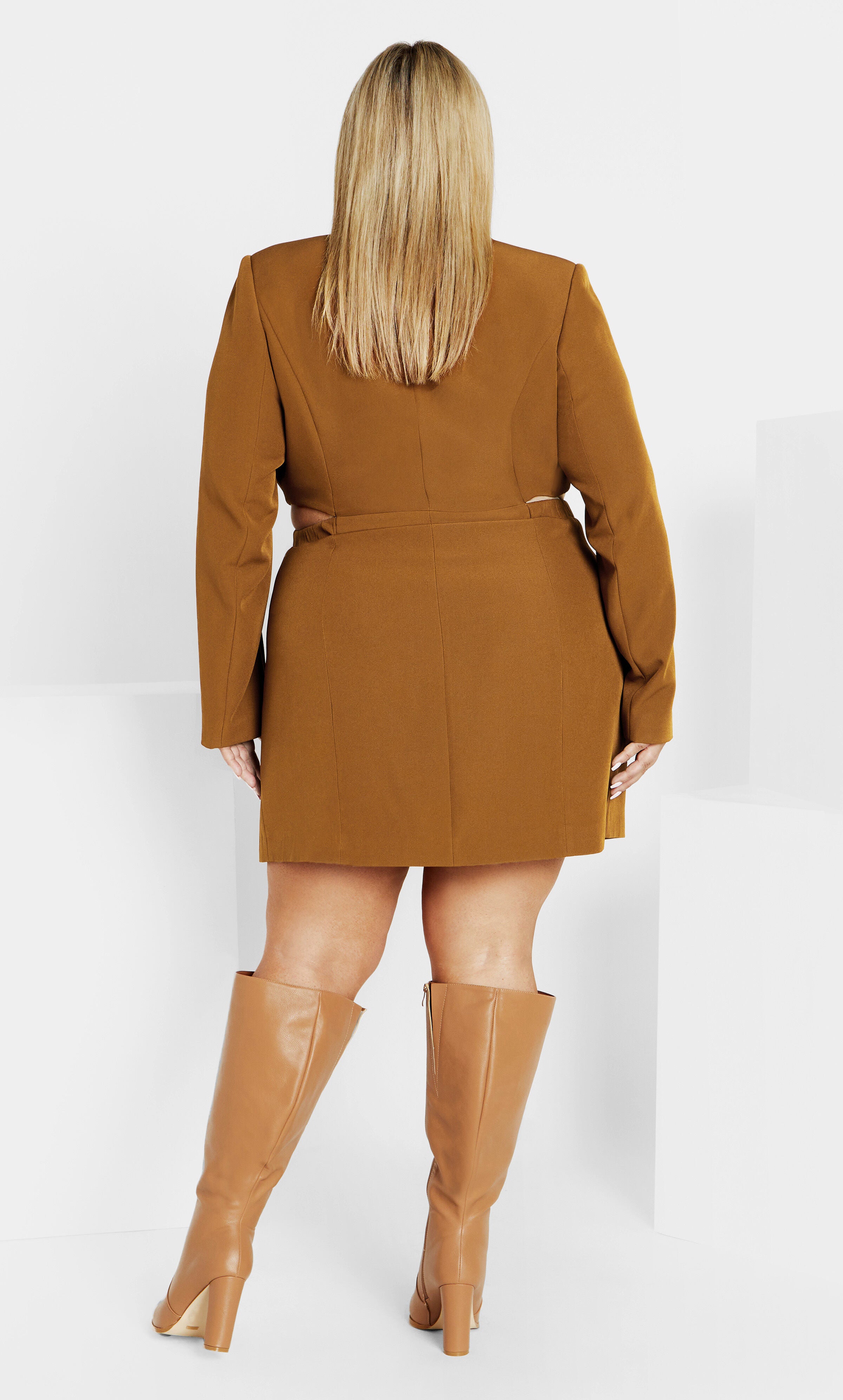 Tuxedo Twyla Dress - salted caramel, SALTED, alternate image number 3