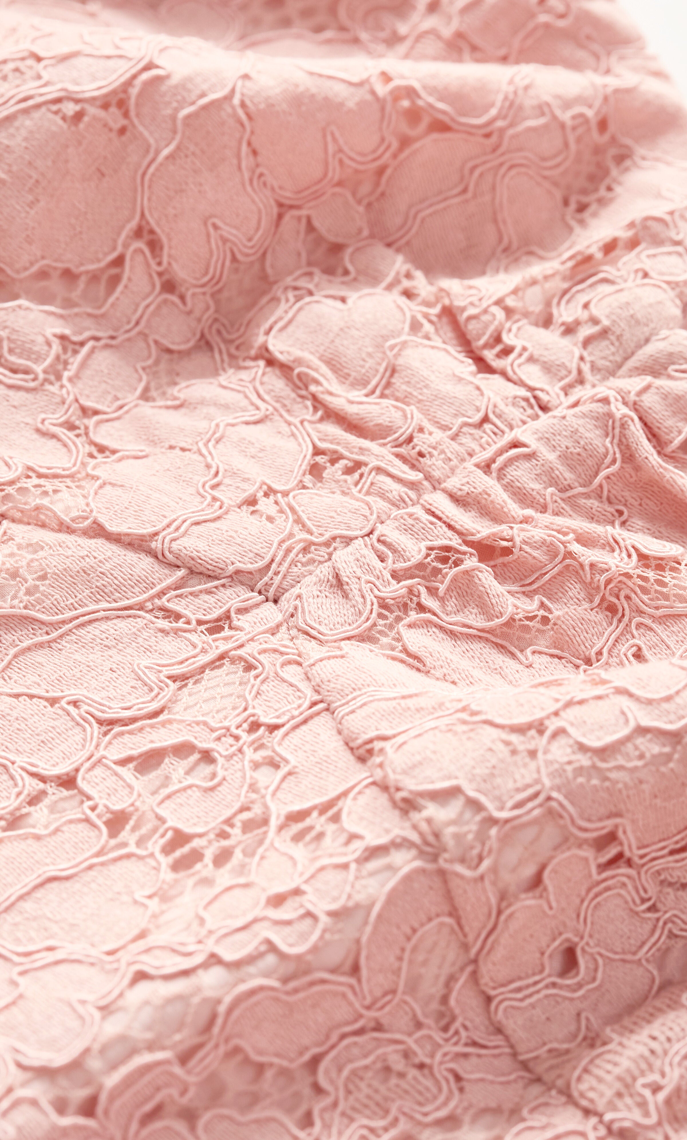 Maisie Lace Midi Dress - ballet pink, PINK, alternate image number 5