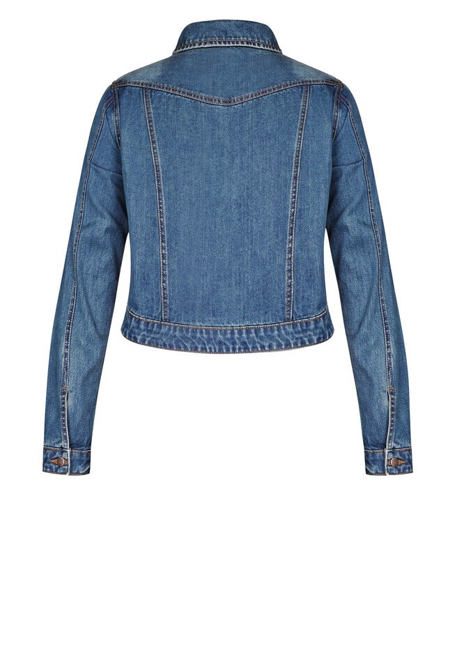 Classic Denim Jacket - denim, BLUE, alternate image number null