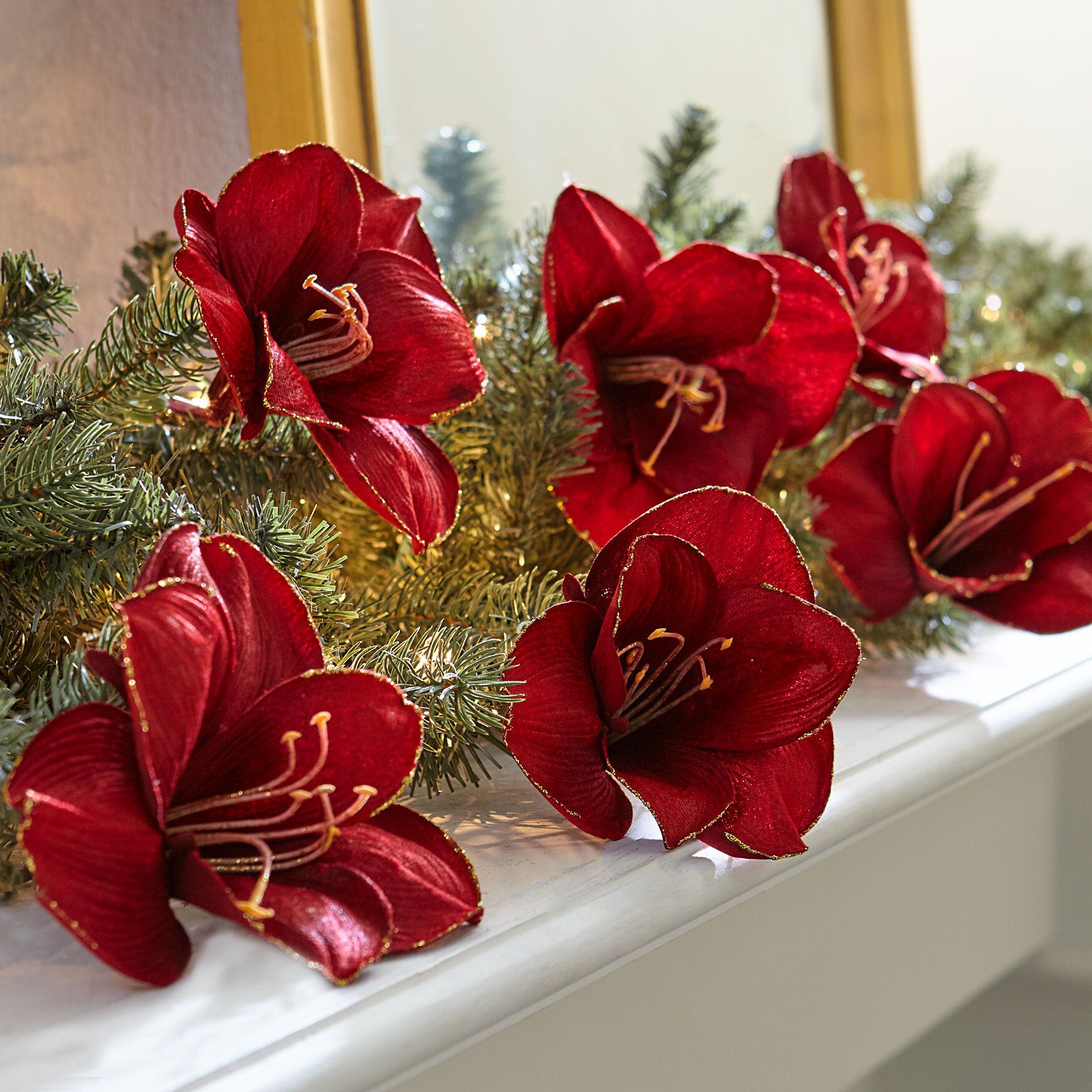 Amaryllis Clips, Set of 6