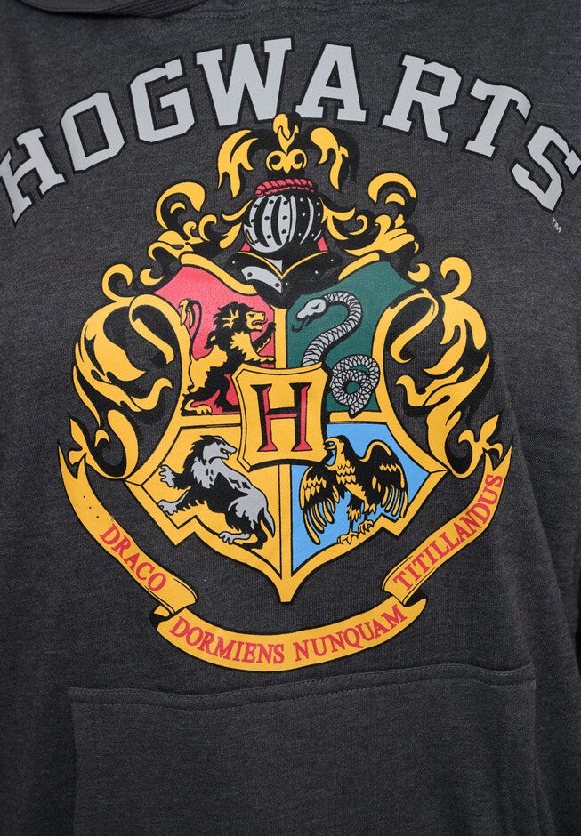 Harry Potter Hoodie Sweatshirt Hogwarts Crest Wizards, , alternate image number null