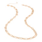 Long Chainlink Necklace image number null