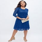 Lace Fit & Flare Dress image number null