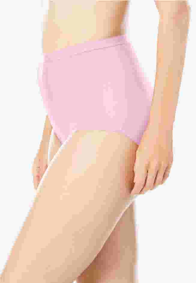 Full Coverage Nylon Brief 10-Pack image number 3