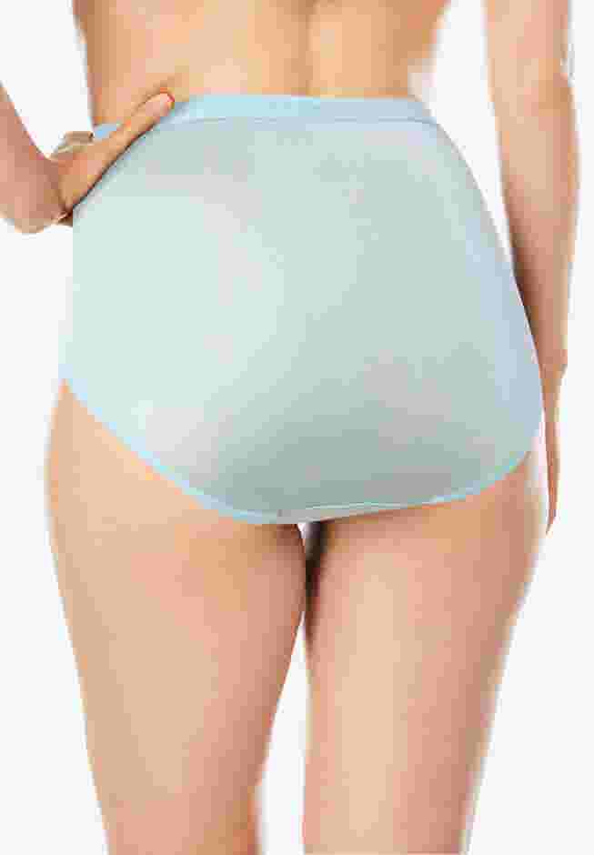 Full Coverage Nylon Brief 10-Pack image number 4