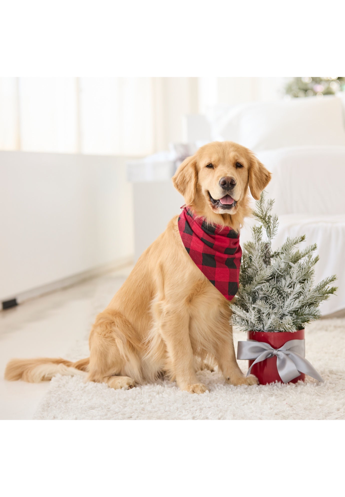 null image number null