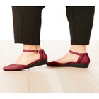 The Aurelia Pump image number null