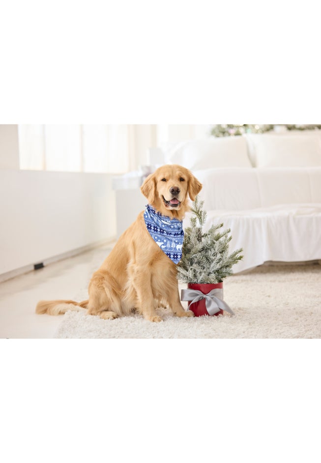 Pet Scarf image number 1