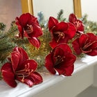 Amaryllis Clips, Set of 6 image number 0