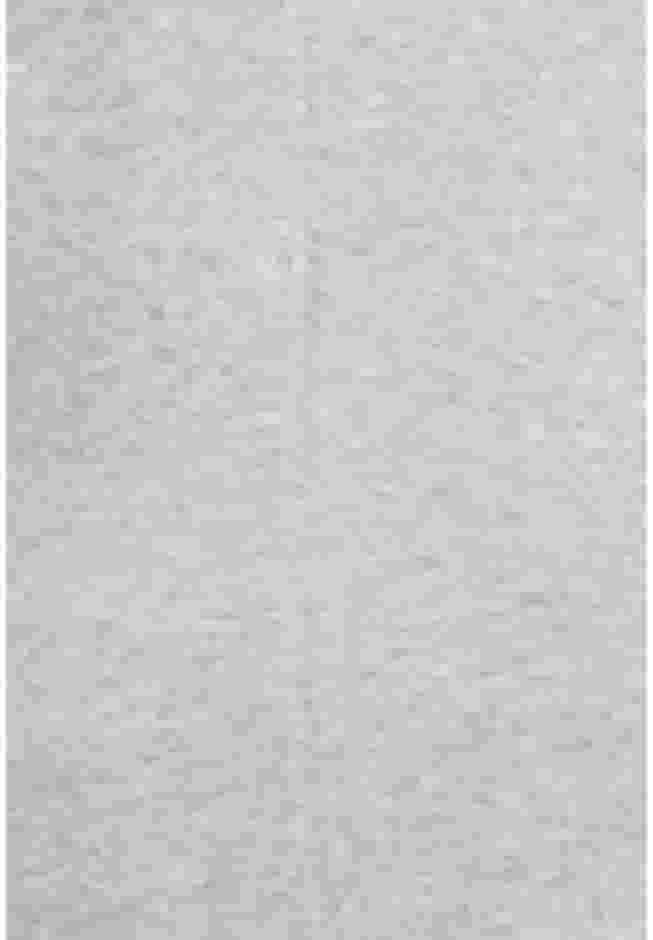 Must Have Tee image number 4