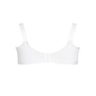 Basic Cotton Bra image number null