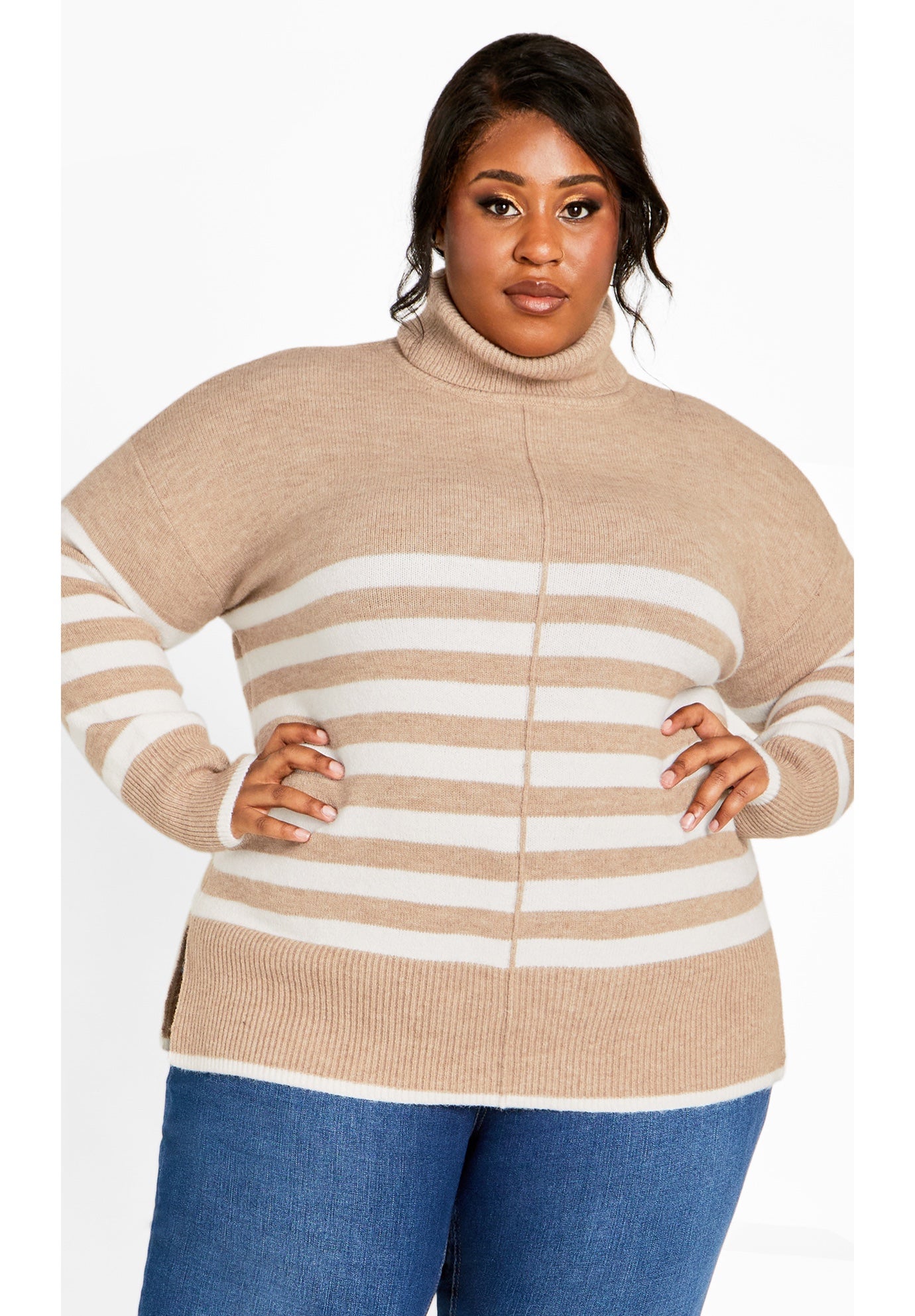 Livvy Roll Neck Stripe Sweater image number 0