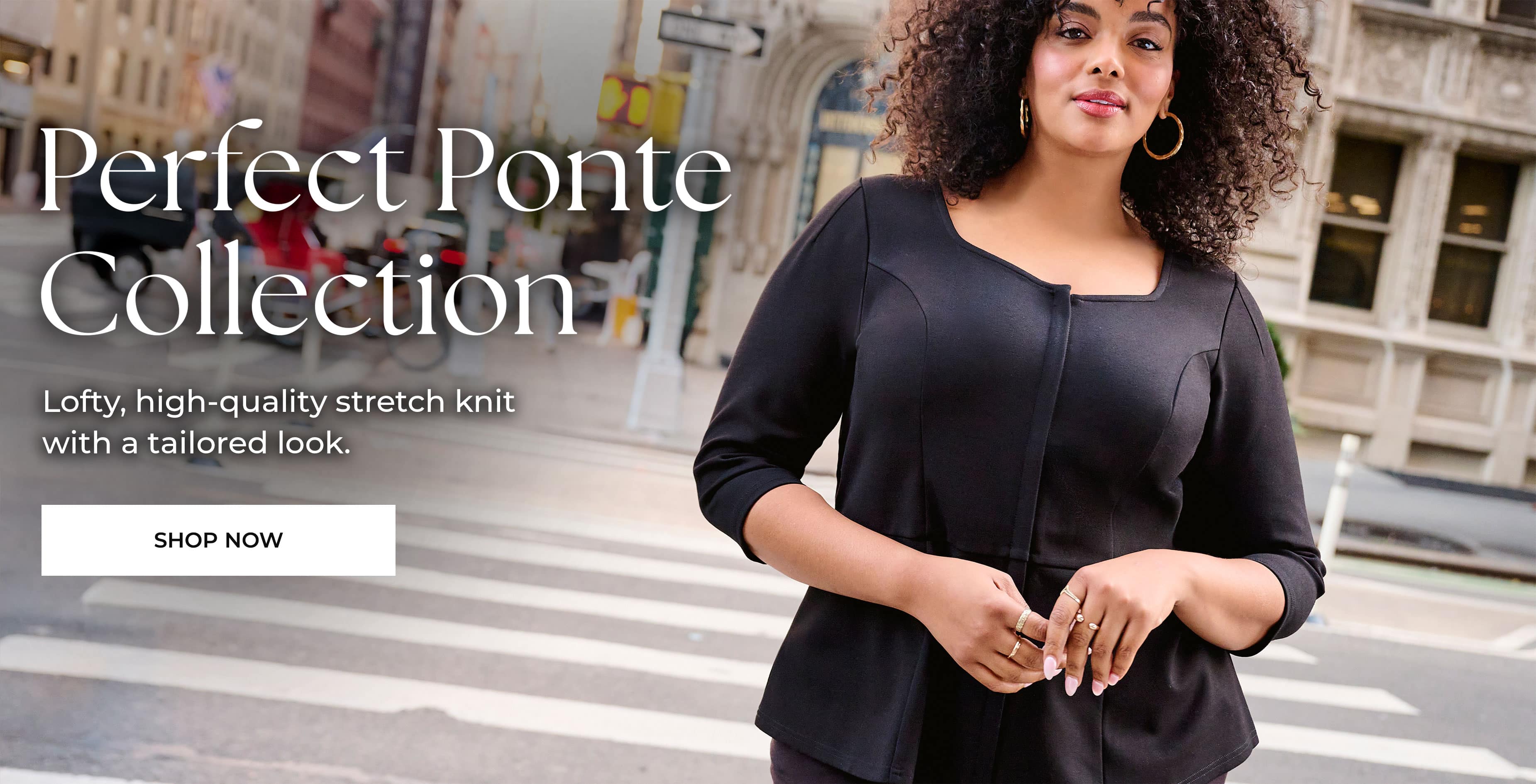 Ponte Collection — Shop Now
